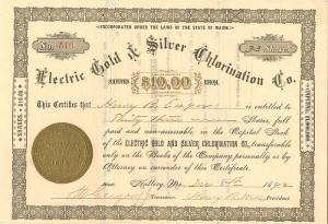 Electric Gold and Silver Chlorination Co.